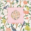 Blush Citrus